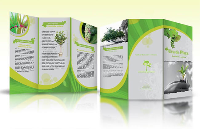 Thiết kế brochure chuyên nghiệp tại Hà Nội